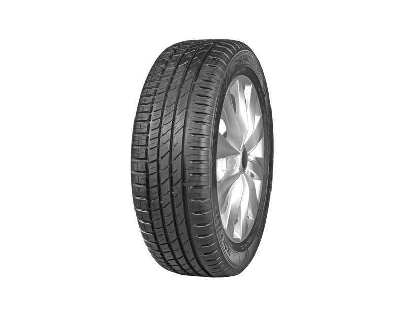 Ikon Character Eco 195/55R15 89H T743175 (T732324) XL